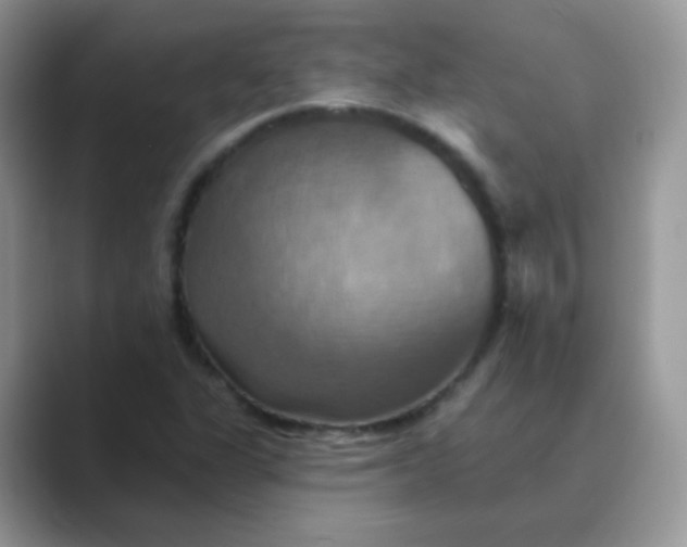 X0000089721311200707051712