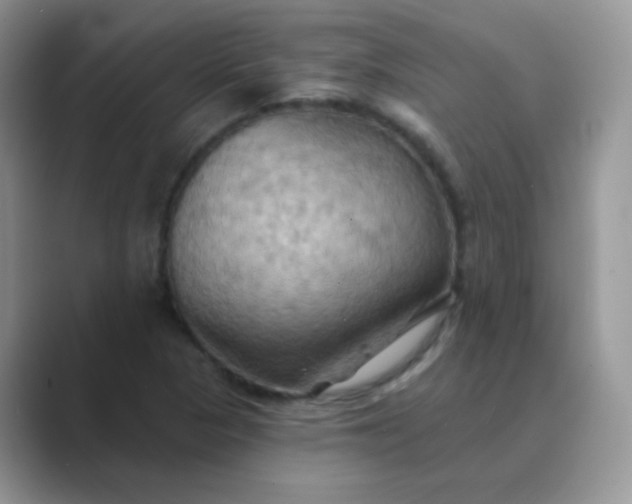 X0000089721313200707051712