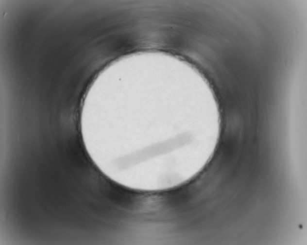 X0000089721314200707051712
