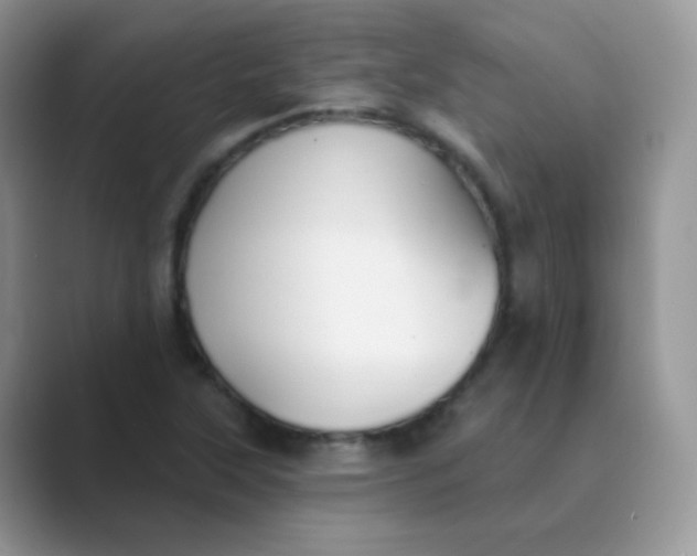 X0000089721315200707051712