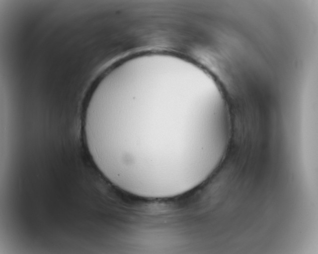 X0000089721316200707051712