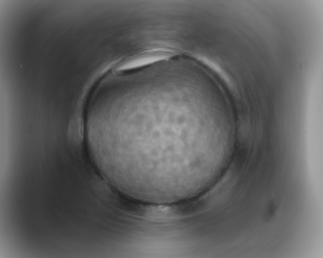 X0000089721317200707051712
