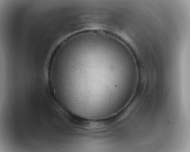 X0000089721318200707051712