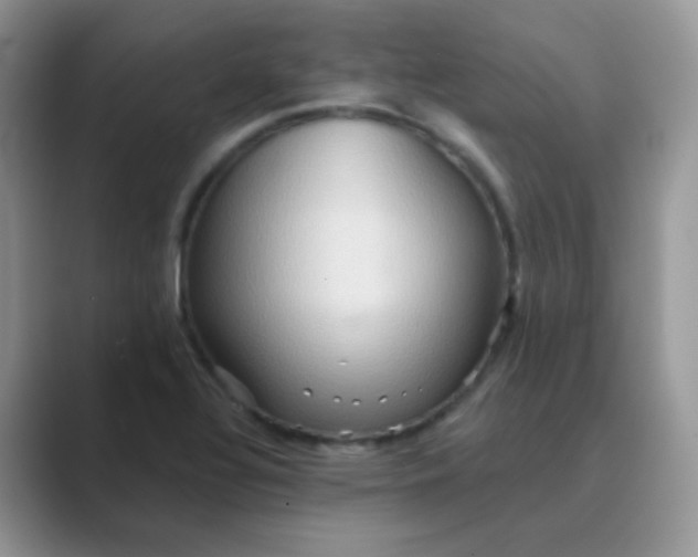 X0000089721320200707051712