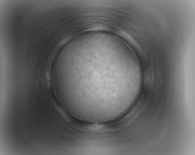 X0000089721321200707051712