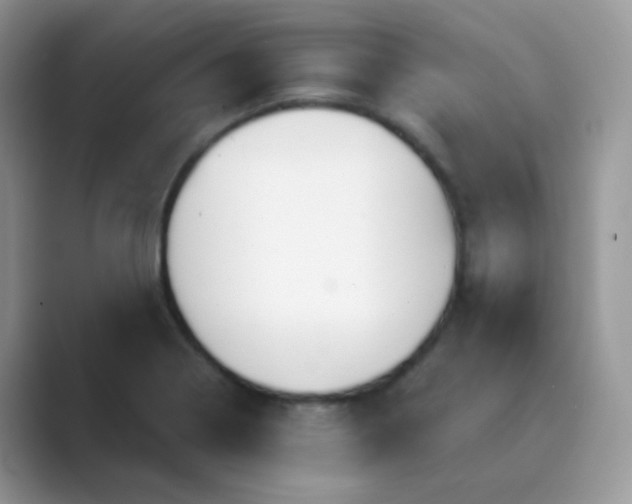 X0000089721322200707051712