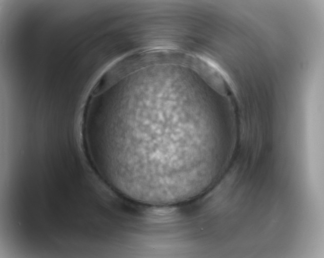 X0000089721325200707051712