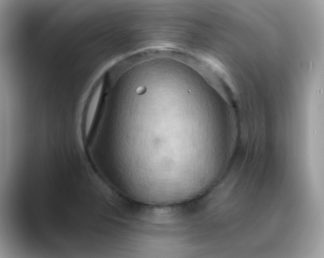 X0000089721326200707051713