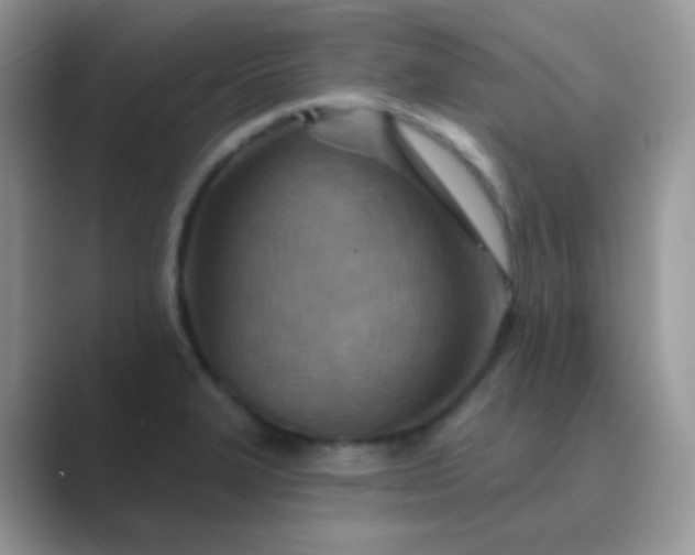 X0000089721327200707051713