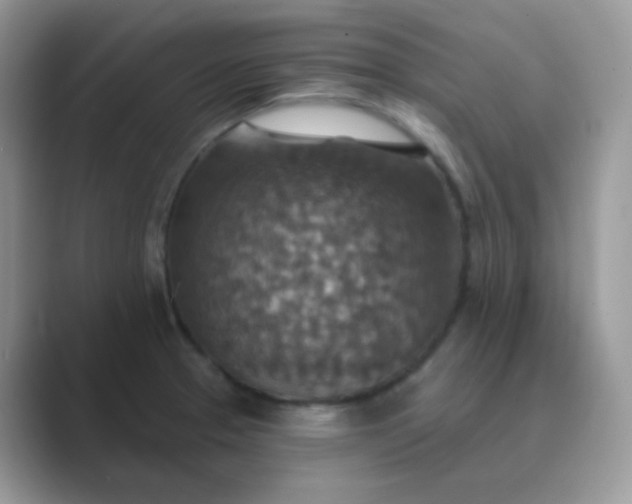 X0000089721329200707051713