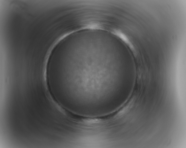 X0000089721331200707051713