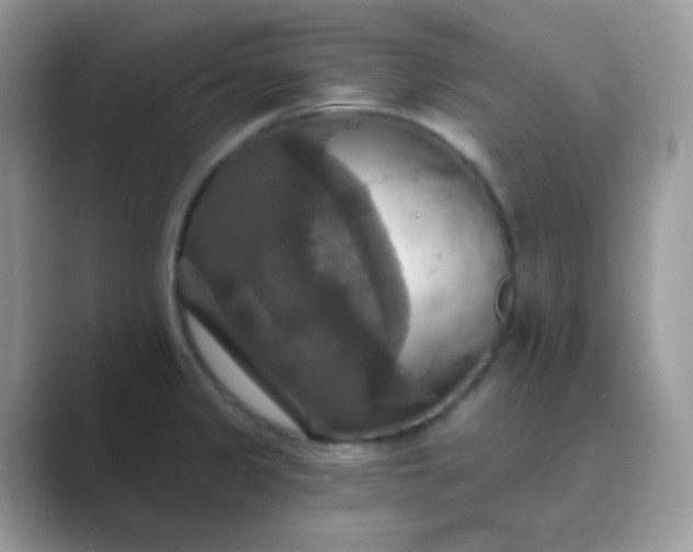 X0000089721333200707051713