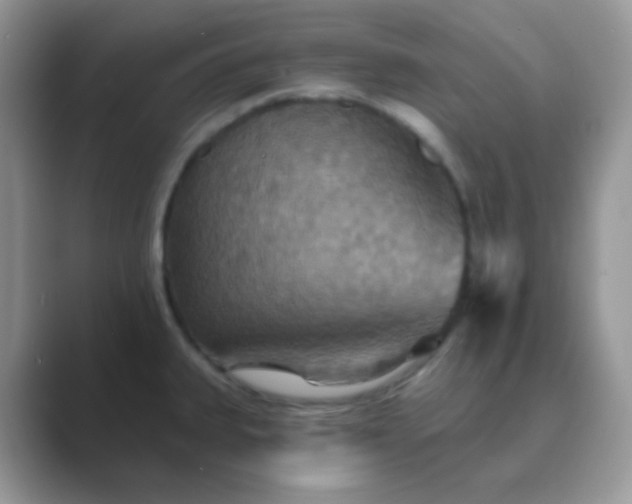 X0000089721335200707051713