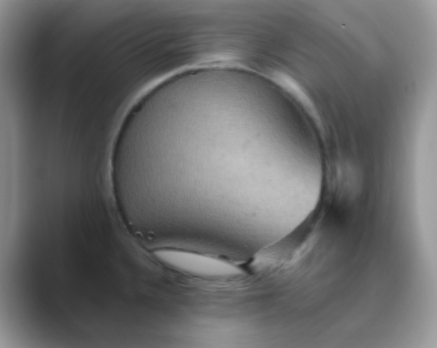 X0000089721336200707051713