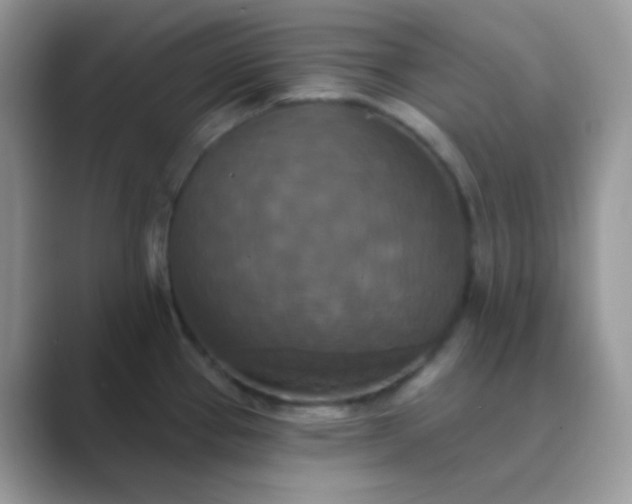 X0000089721337200707051713