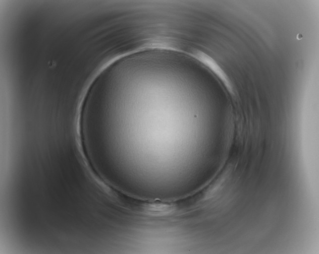 X0000089721339200707051713