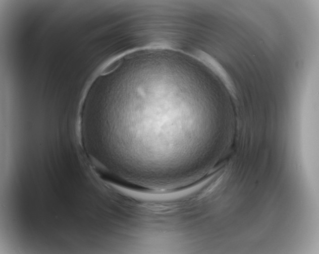 X0000089721340200707051713