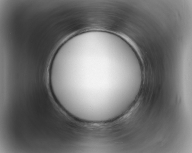 X0000089721341200707051713