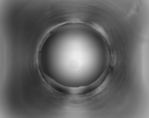 X0000089721342200707051713