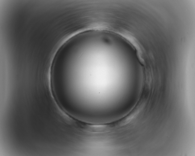 X0000089721343200707051713