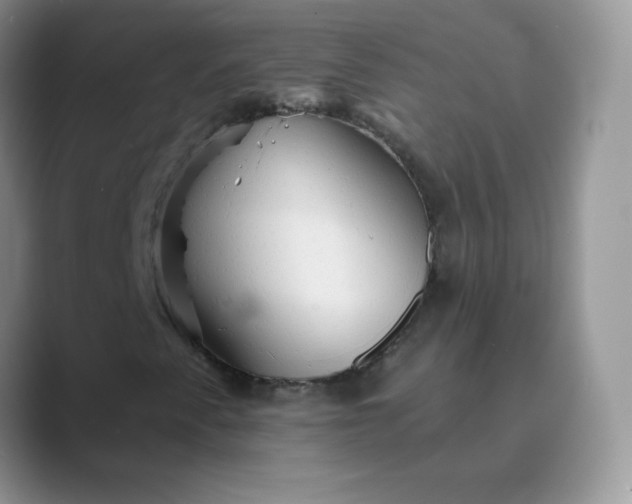 X0000089721345200707051712