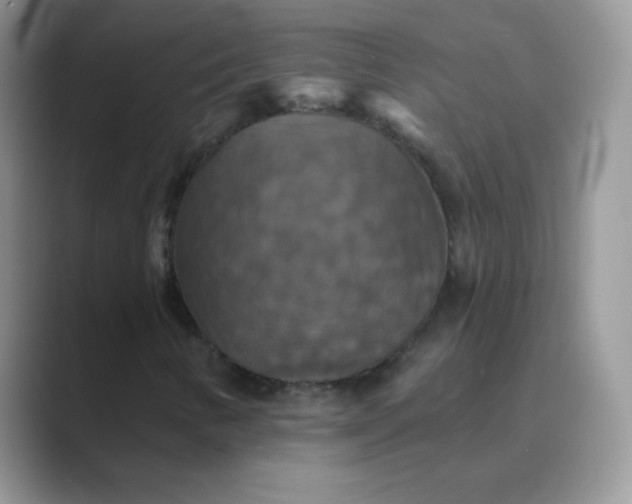 X0000089721346200707051712