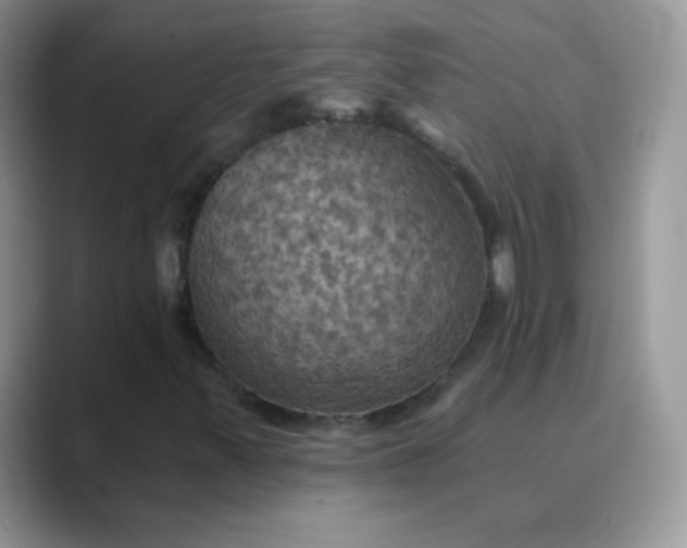 X0000089721347200707051712
