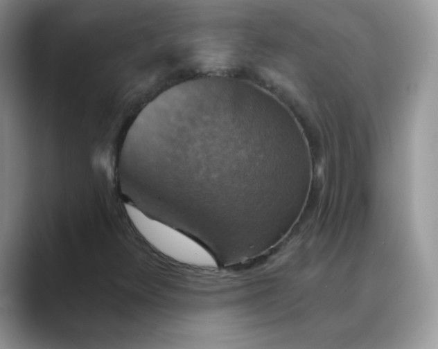 X0000089721348200707051712