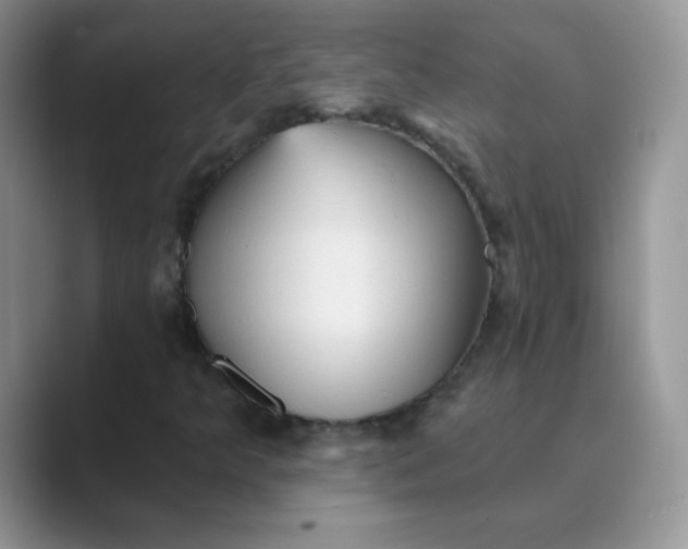 X0000089721349200707051712