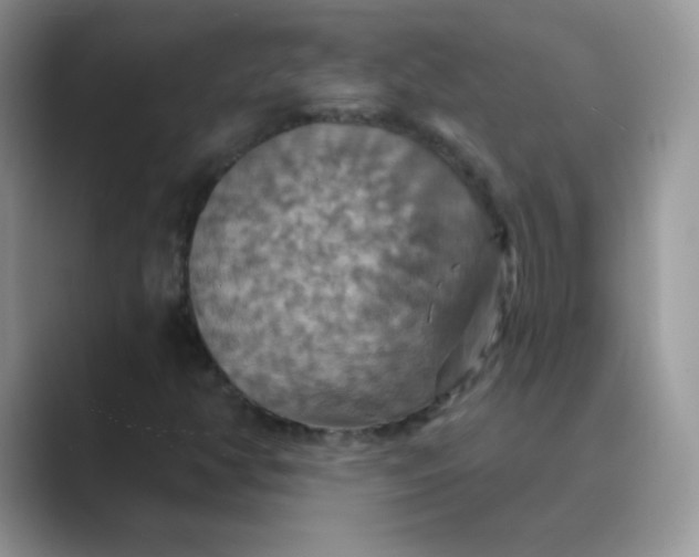 X0000089721350200707051712