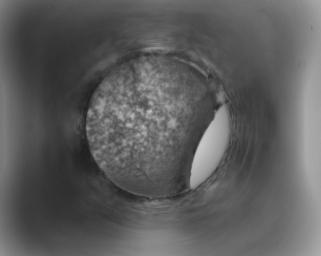 X0000089721351200707051712