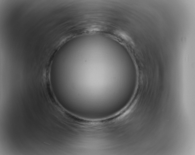 X0000089721353200707051712
