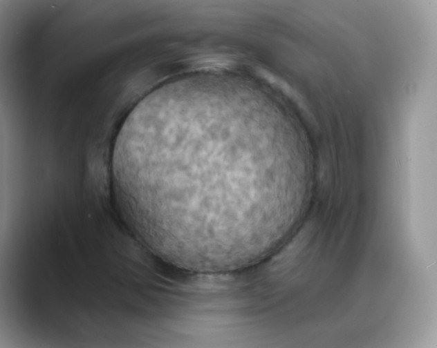 X0000089721354200707051712