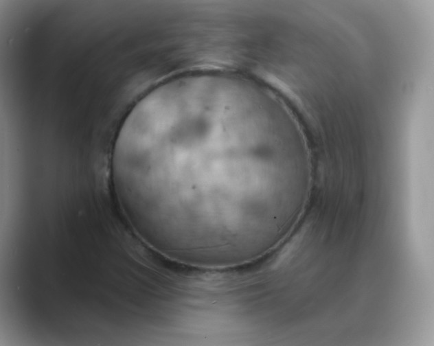X0000089721355200707051712