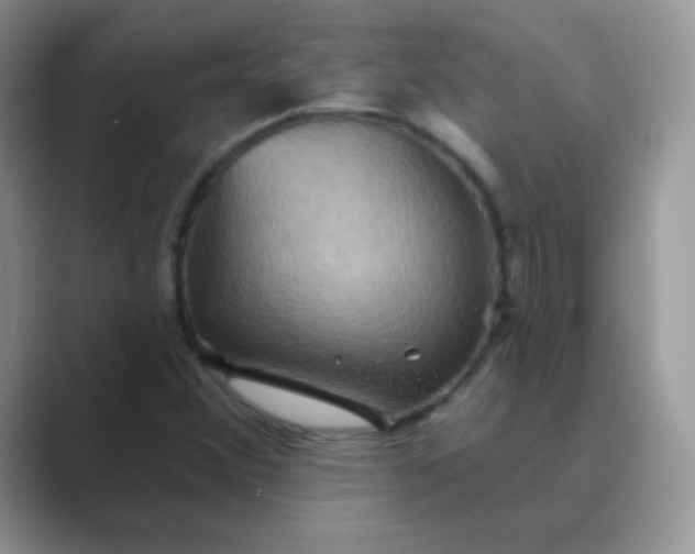 X0000089721356200707051712