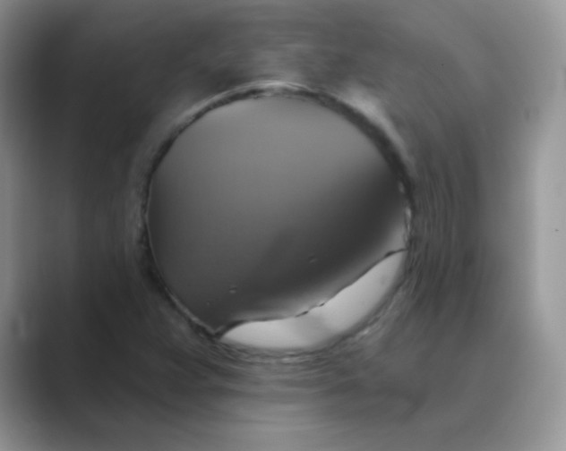 X0000089721359200707051712