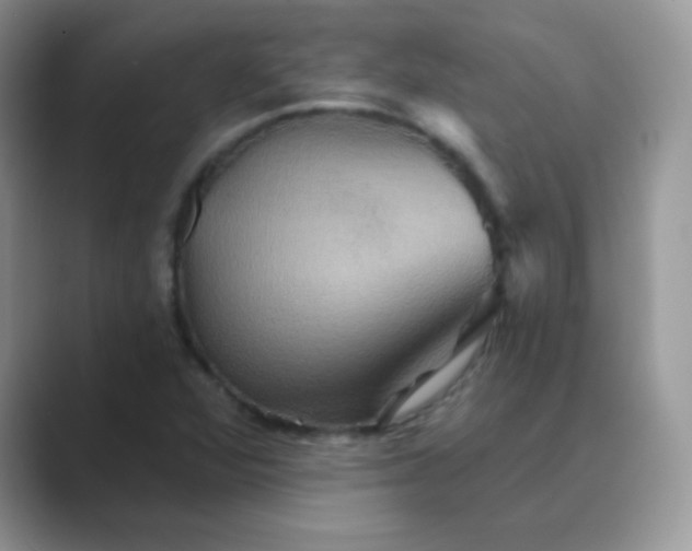 X0000089721360200707051712