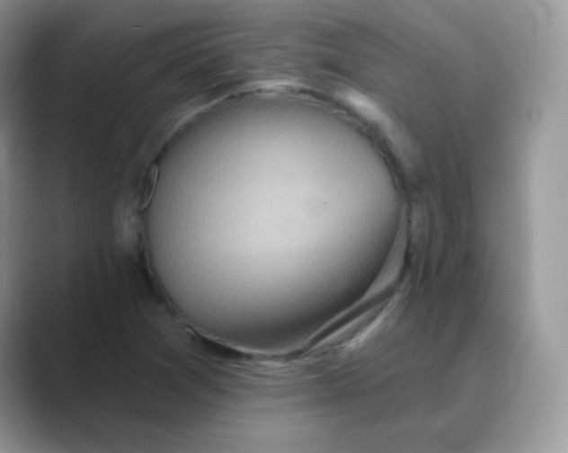 X0000089721361200707051712