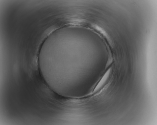X0000089721362200707051712