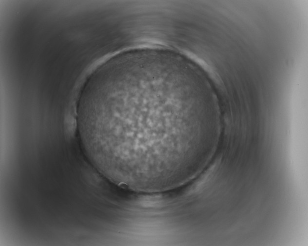 X0000089721363200707051712
