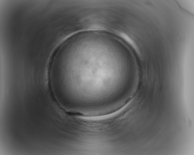 X0000089721364200707051712