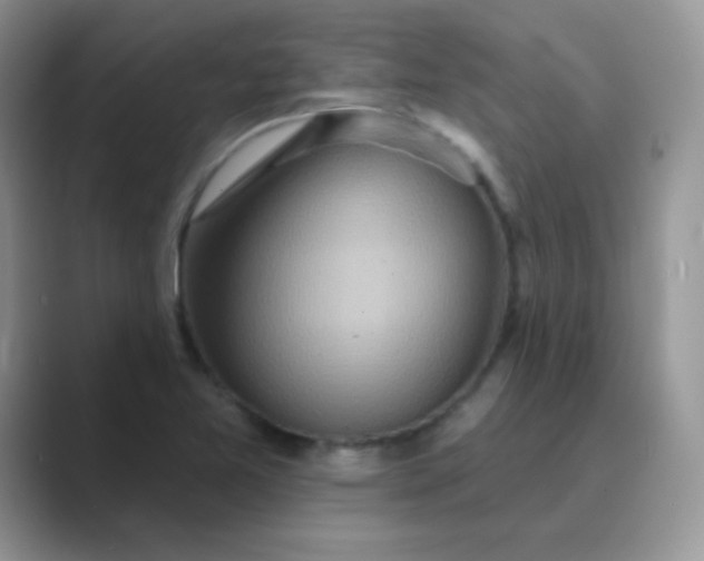X0000089721365200707051712