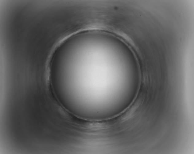 X0000089721366200707051712