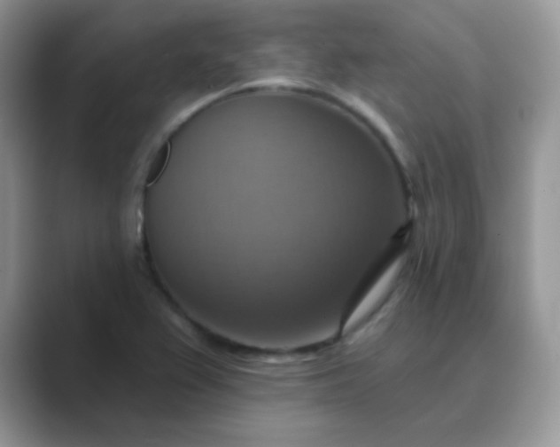 X0000089721367200707051712