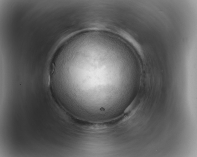 X0000089721368200707051712