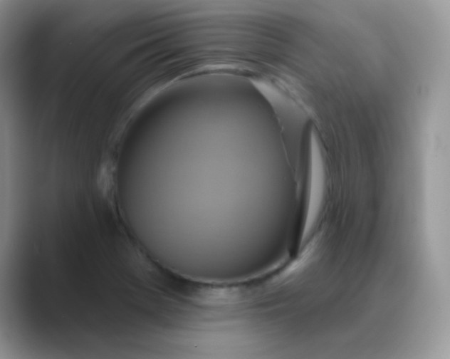 X0000089721369200707051712