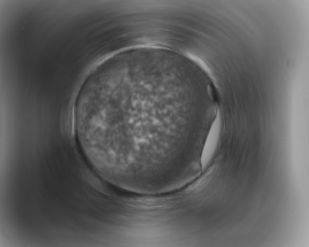X0000089721371200707051712
