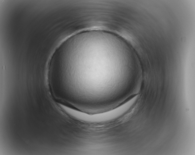 X0000089721374200707051712