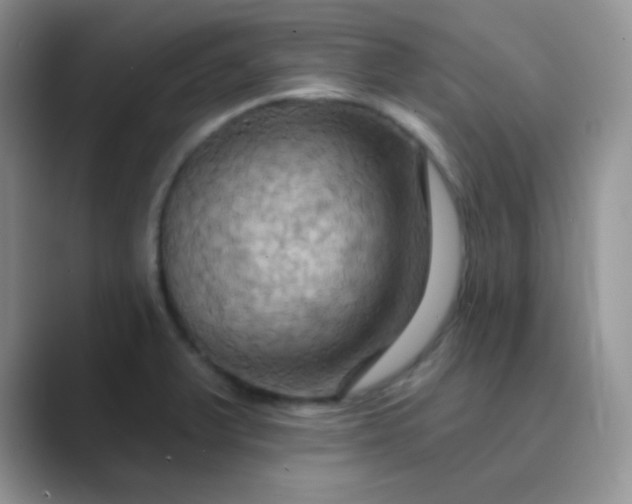 X0000089721375200707051712