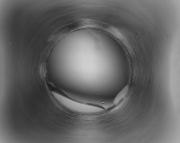 X0000089721377200707051712